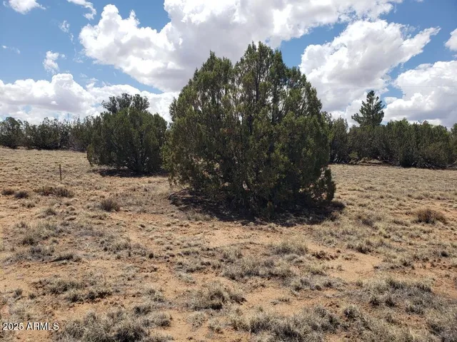 $115,500 | 3933 Hidden Ranch Road, Unit 56, Snowflake, AZ 85937