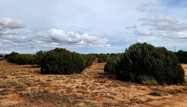 a view of an ocean beach