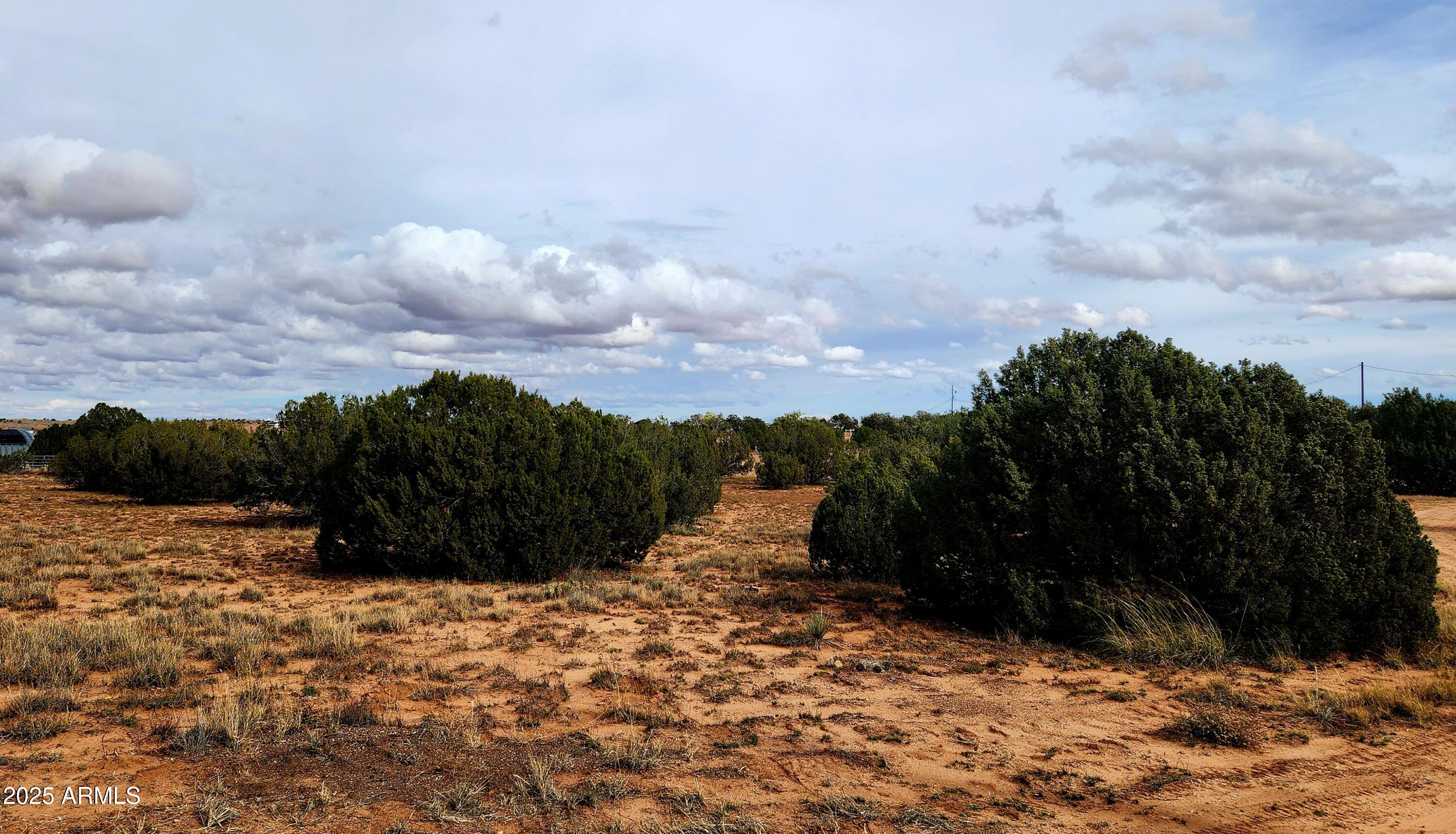 3933 Hidden Ranch Road, Unit 56 Snowflake, AZ 85937 - Photo 8 of 11 Front view from road Junipers