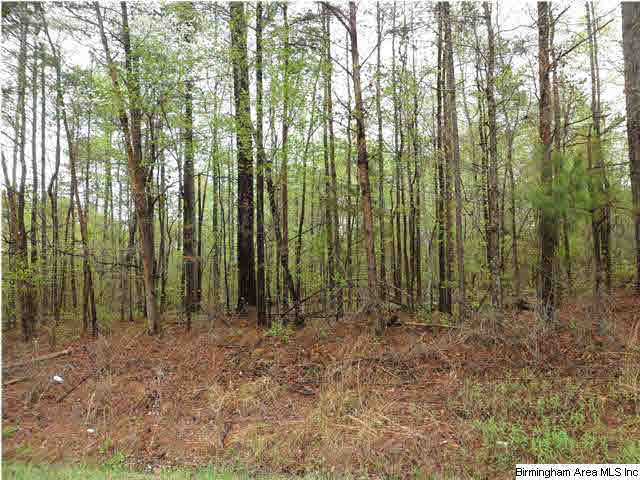 Spring Trail Warrior, AL 35180 - Photo 1 of 2