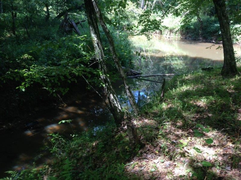 Community Road Oxford, NC 27565 - Photo 13 of 14 a view of a lake in a forest
