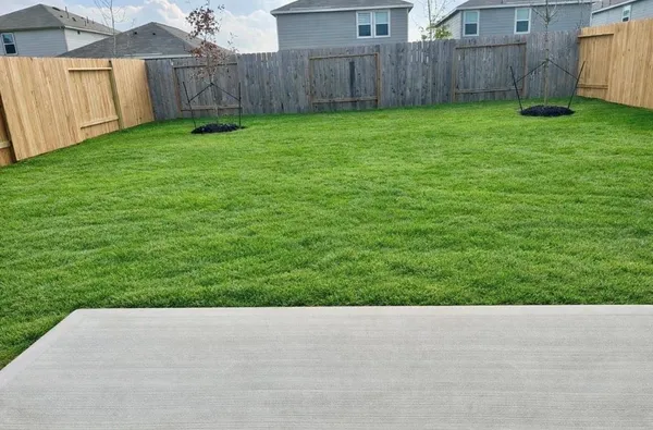 a view of a backyard with wooden fence