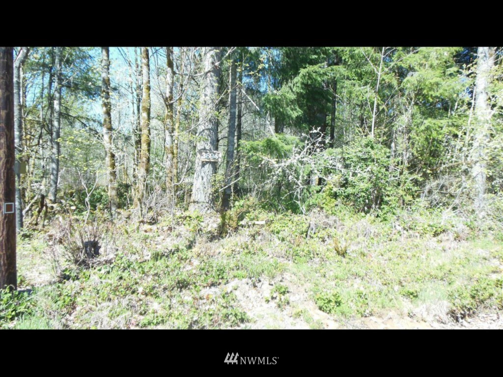 3694 Cooks Hill Road Centralia, WA 98531 - Photo 1 of 3 Gallery Image 1