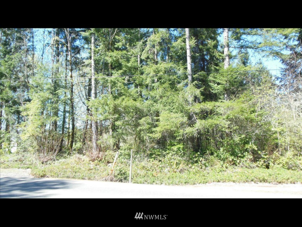 3694 Cooks Hill Road Centralia, WA 98531 - Photo 2 of 3 Gallery Image 2