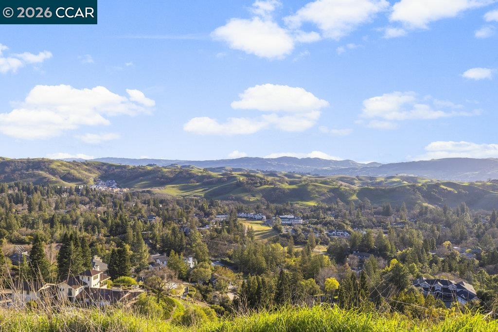 2300 Caballo Ranchero Drive Diablo, CA 94528 - Photo 1 of 18 a view of a city
