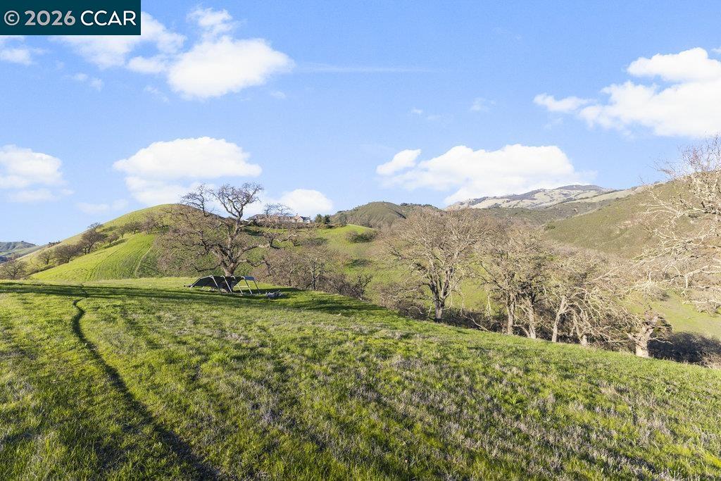 2300 Caballo Ranchero Drive Diablo, CA 94528 - Photo 15 of 18