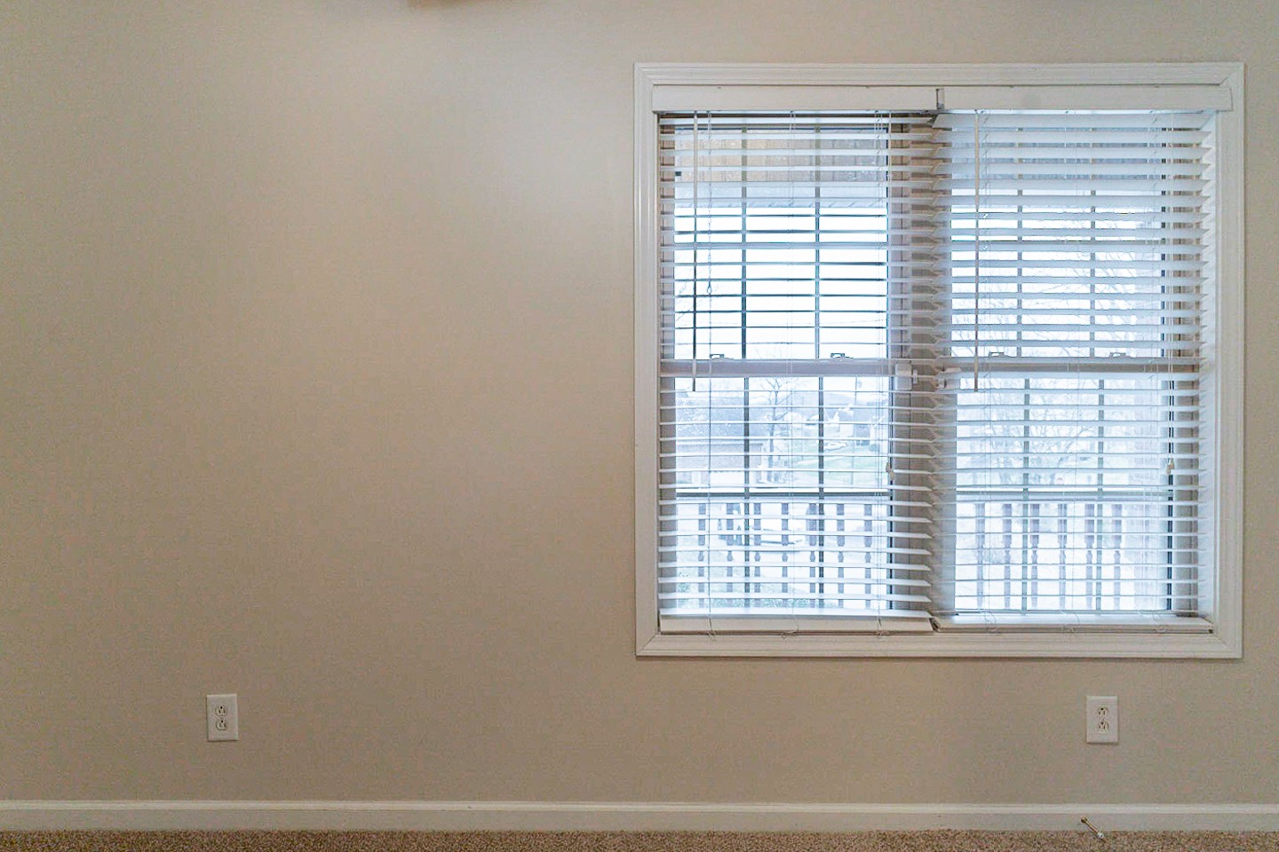 105 High Ridge Court Goodlettsville, TN 37072 - Photo 15 of 31 a view of a window in a room
