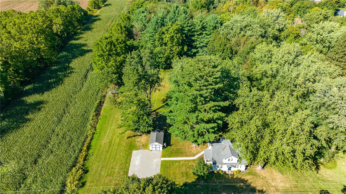 1060 Ogden Parma Town Line Road Parma, NY 14559 - Photo 44 of 49