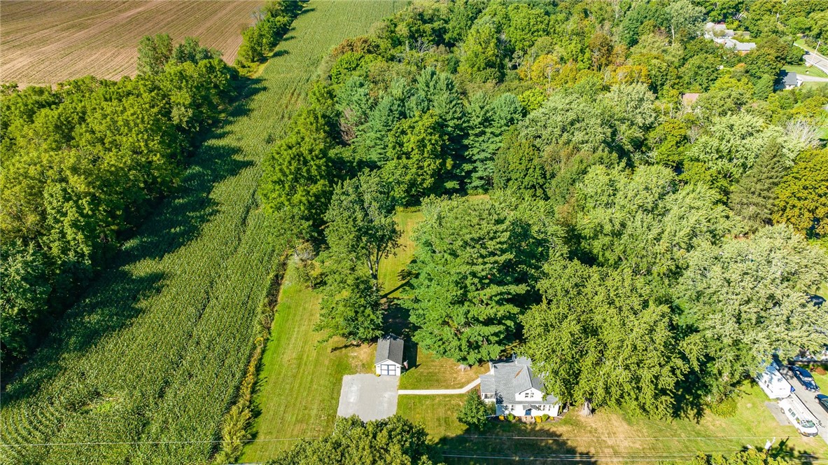 1060 Ogden Parma Town Line Road Parma, NY 14559 - Photo 45 of 49