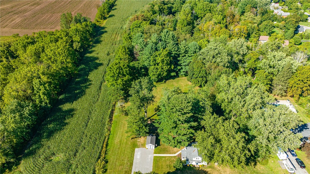 1060 Ogden Parma Town Line Road Parma, NY 14559 - Photo 46 of 49