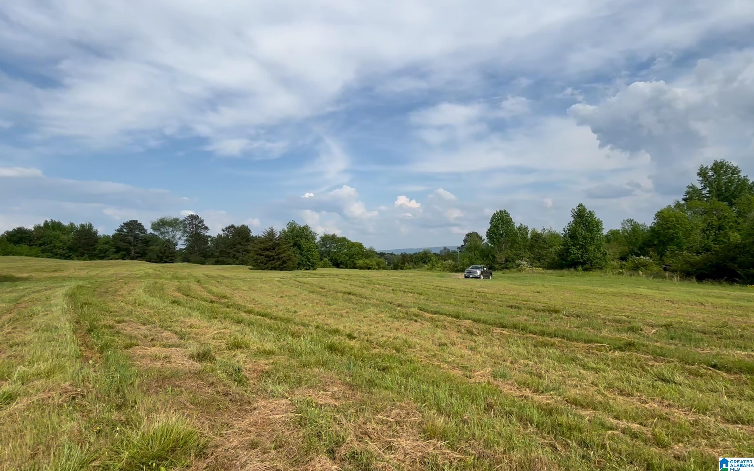 1895 Marvin Adcock Road, Unit 9 ACRES Hayden, AL 35079 - Photo 8 of 18