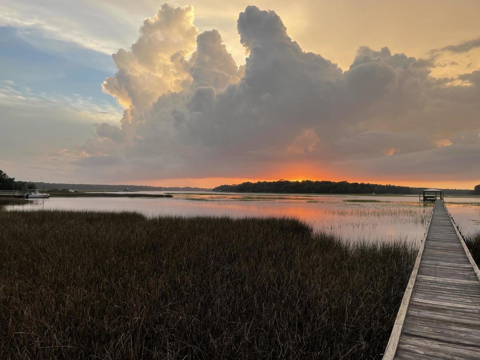 4404 Wando Farms Road Mount Pleasant, SC 29429 - Photo 3 of 51 Sunset