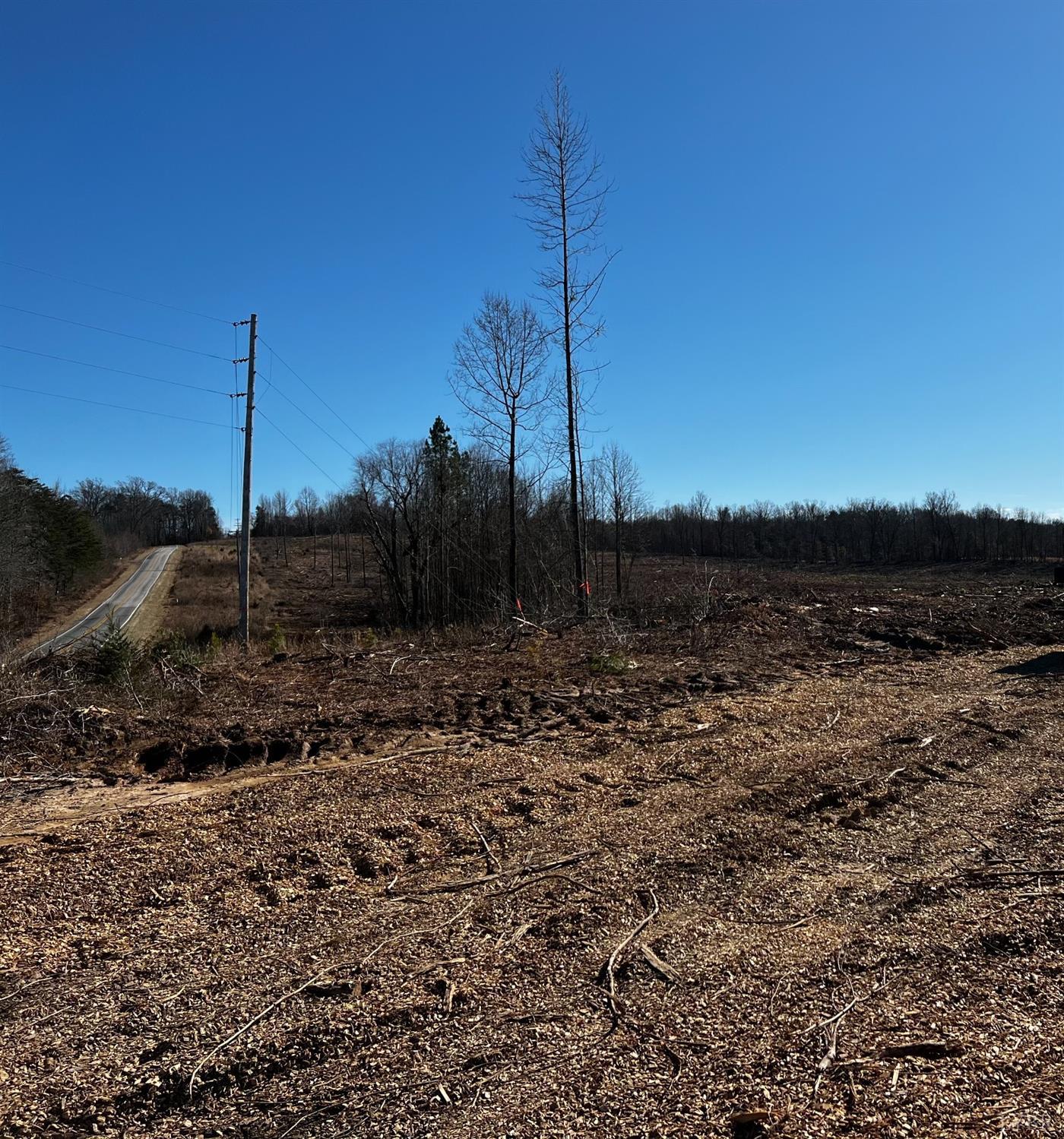 0 Riceville Road Java, VA 24565 - Photo 8 of 12