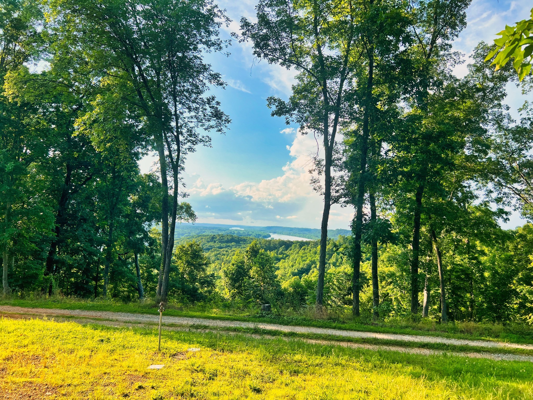 a view of swimming pool with a yard