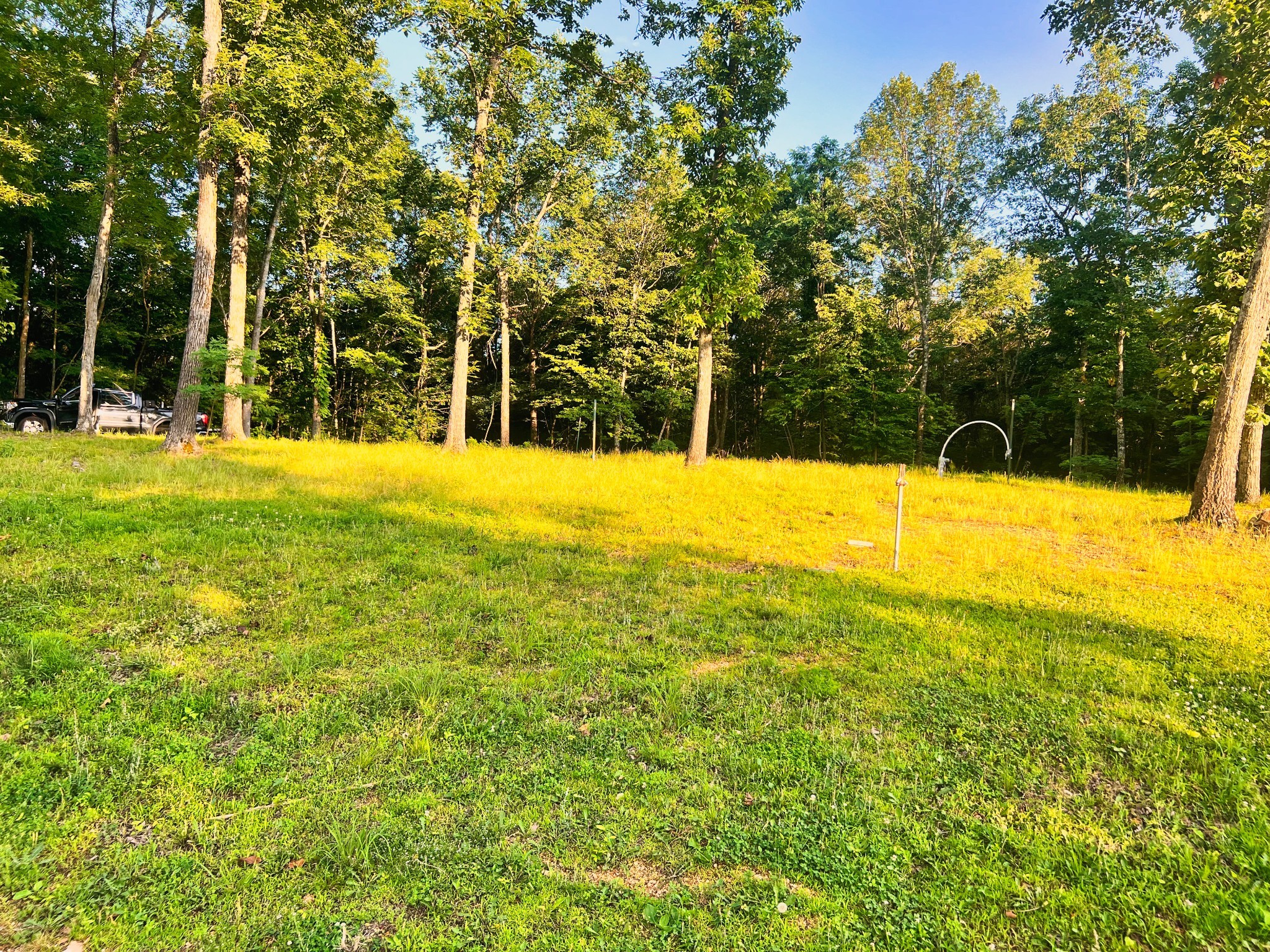 3202 Old Lego School Road Linden, TN 37096 - Photo 51 of 88 a view of an outdoor space and a yard