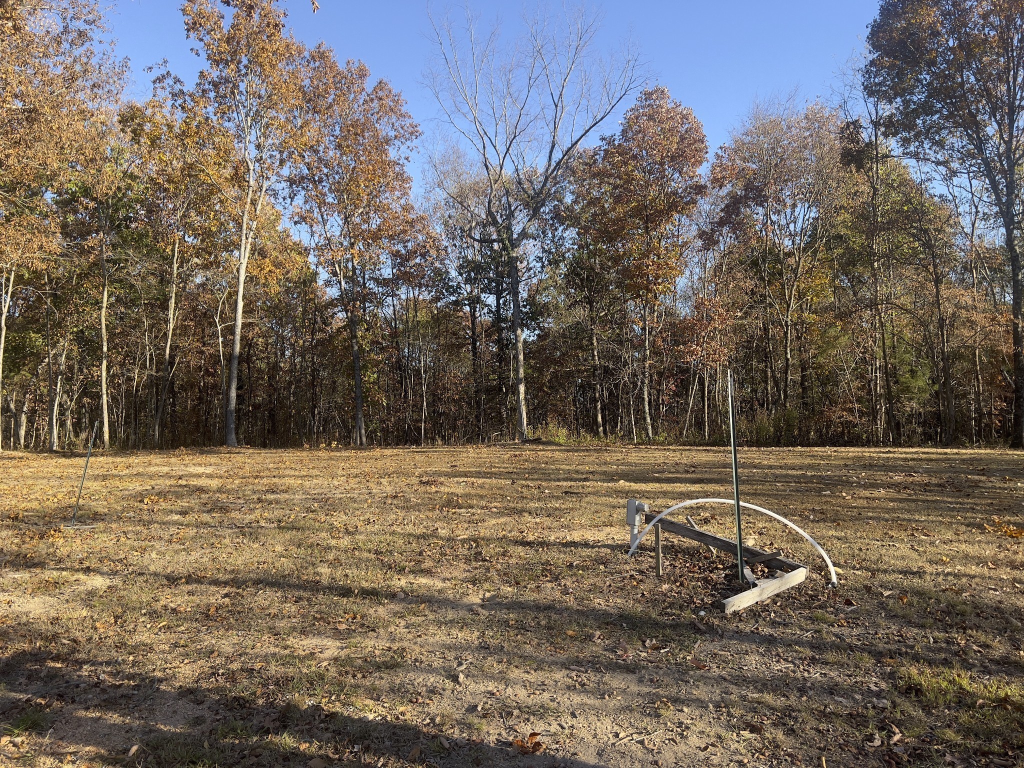 3202 Old Lego School Road Linden, TN 37096 - Photo 59 of 88 a view of a field with trees in the background
