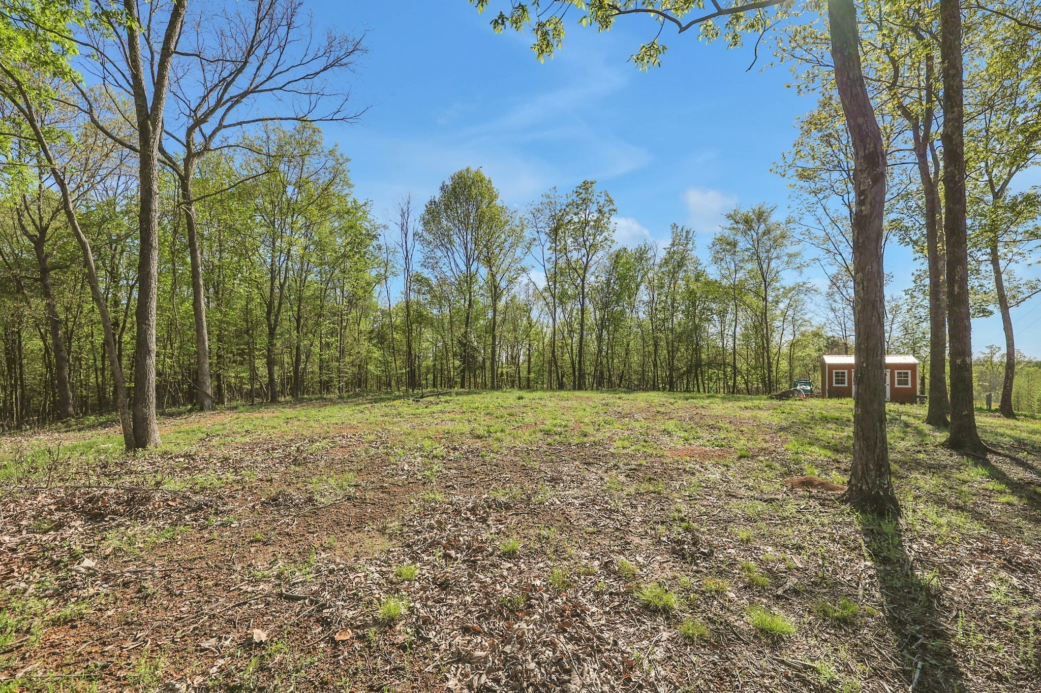 3202 Old Lego School Road Linden, TN 37096 - Photo 61 of 88 a view of a yard with trees