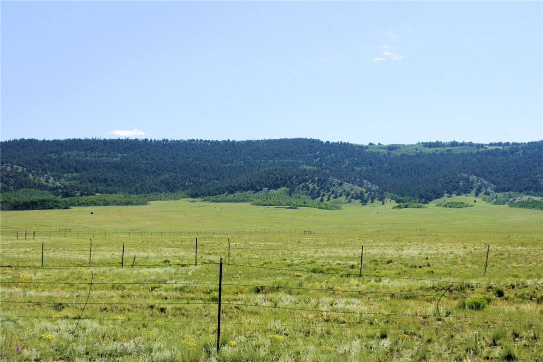 1678 Center Road Fairplay, CO 80440 - Photo 14 of 16 Gallery Image 14