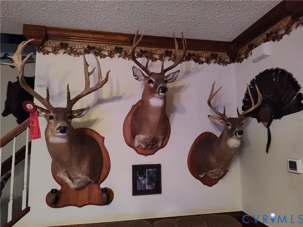 $2,500,000 | 19003 Comans Well Road, Yale, VA 23897