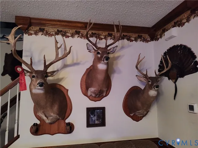 $2,500,000 | 19003 Comans Well Road, Yale, VA 23897