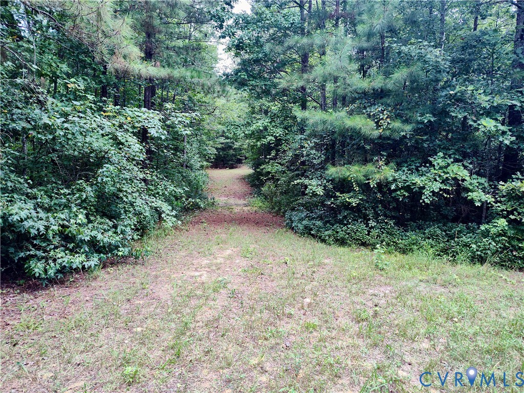 19003 Comans Well Road Yale, VA 23897 - Photo 32 of 50