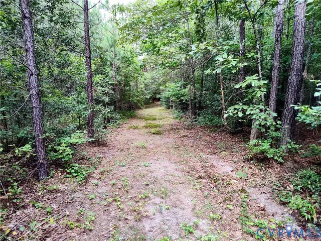 $2,500,000 | 19003 Comans Well Road, Yale, VA 23897