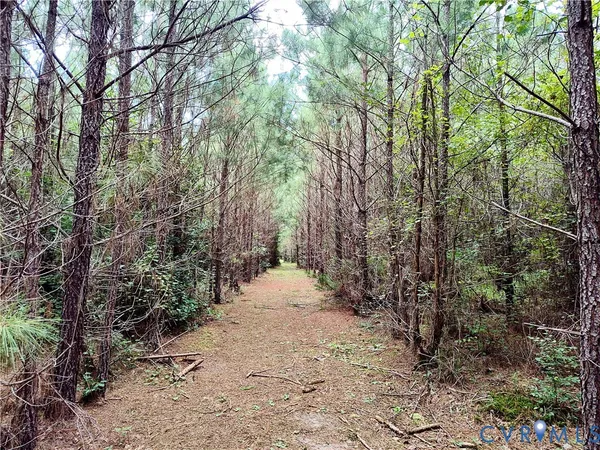 $2,500,000 | 19003 Comans Well Road, Yale, VA 23897