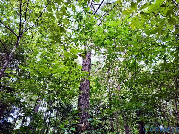 $2,500,000 | 19003 Comans Well Road, Yale, VA 23897