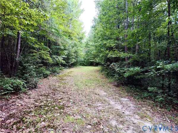 $2,500,000 | 19003 Comans Well Road, Yale, VA 23897