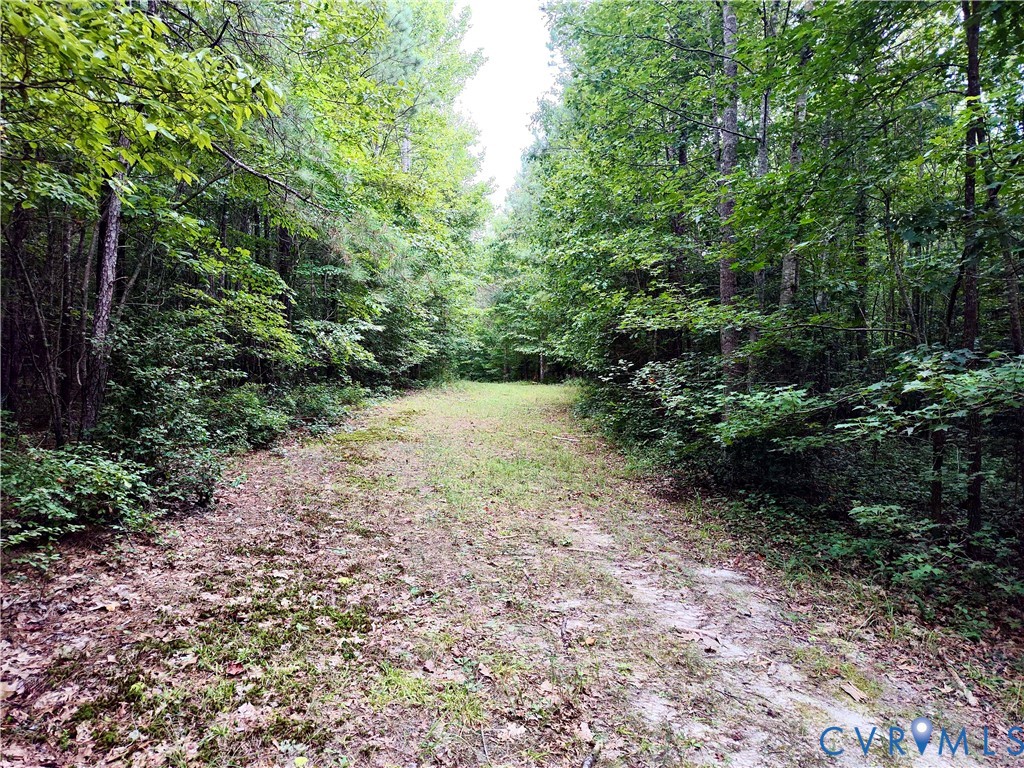 19003 Comans Well Road Yale, VA 23897 - Photo 36 of 50