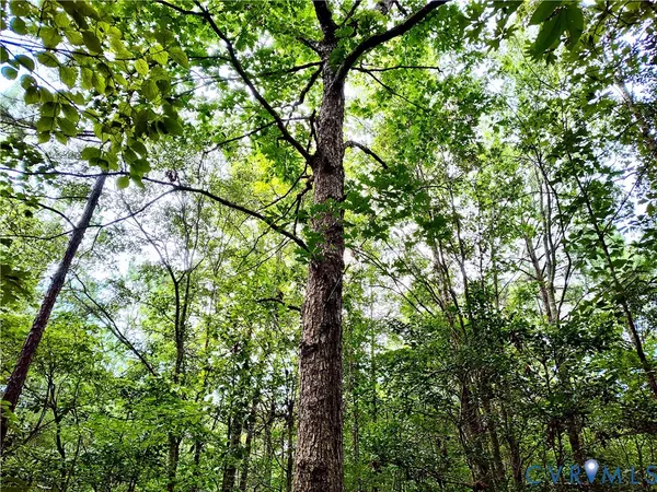 $2,500,000 | 19003 Comans Well Road, Yale, VA 23897