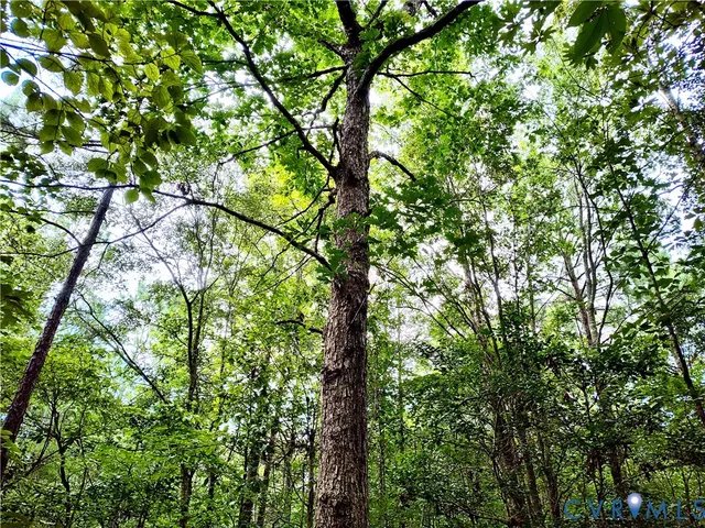 $2,500,000 | 19003 Comans Well Road, Yale, VA 23897