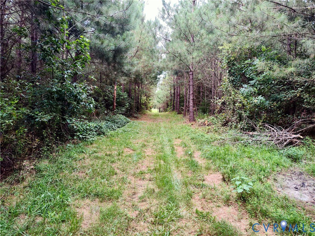 19003 Comans Well Road Yale, VA 23897 - Photo 38 of 50
