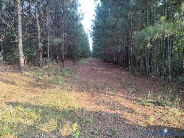 $2,500,000 | 19003 Comans Well Road, Yale, VA 23897