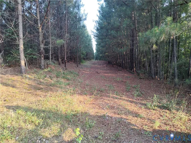 $2,500,000 | 19003 Comans Well Road, Yale, VA 23897