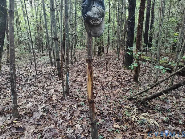 $2,500,000 | 19003 Comans Well Road, Yale, VA 23897