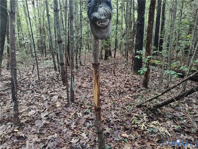 $2,500,000 | 19003 Comans Well Road, Yale, VA 23897