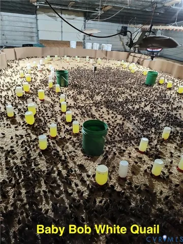 $2,500,000 | 19003 Comans Well Road, Yale, VA 23897