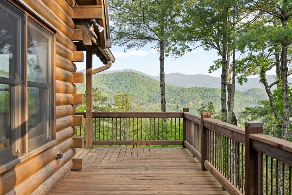 268 Cherry Log Summit Drive Cherry Log, GA 30522 - Photo 3 of 70