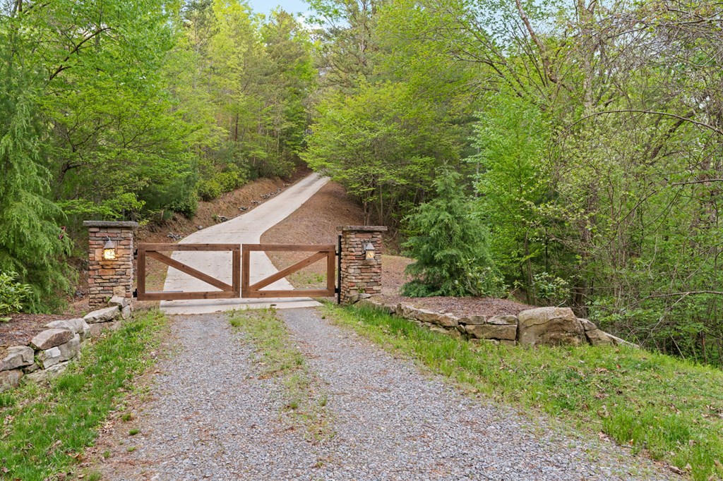 268 Cherry Log Summit Drive Cherry Log, GA 30522 - Photo 57 of 70