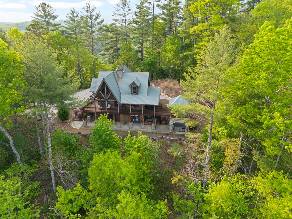 268 Cherry Log Summit Drive Cherry Log, GA 30522 - Photo 66 of 70