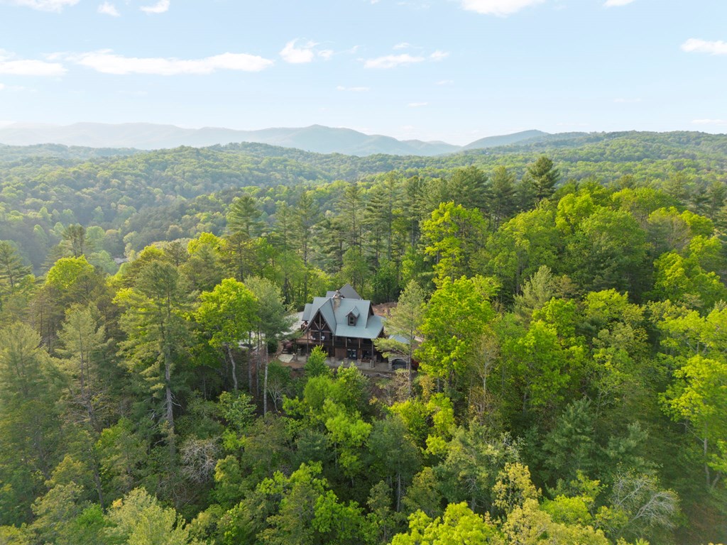 268 Cherry Log Summit Drive Cherry Log, GA 30522 - Photo 67 of 70