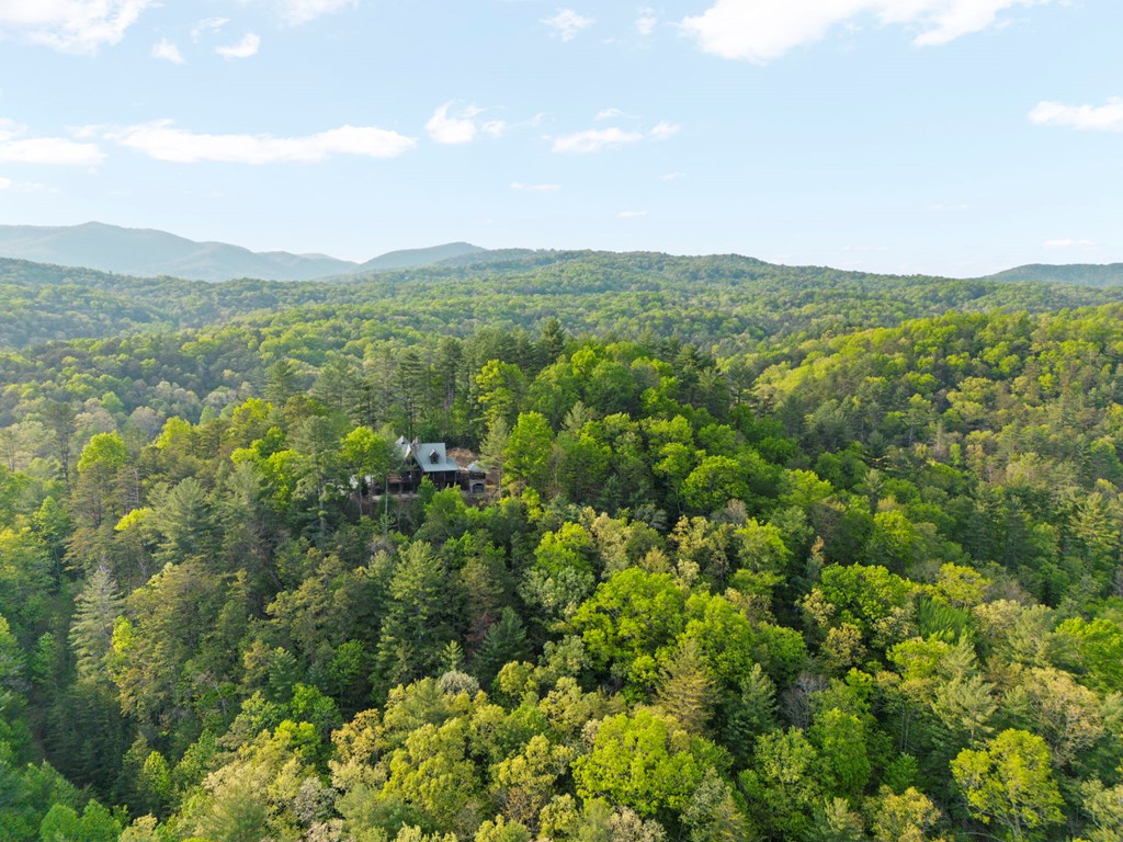 268 Cherry Log Summit Drive Cherry Log, GA 30522 - Photo 69 of 70