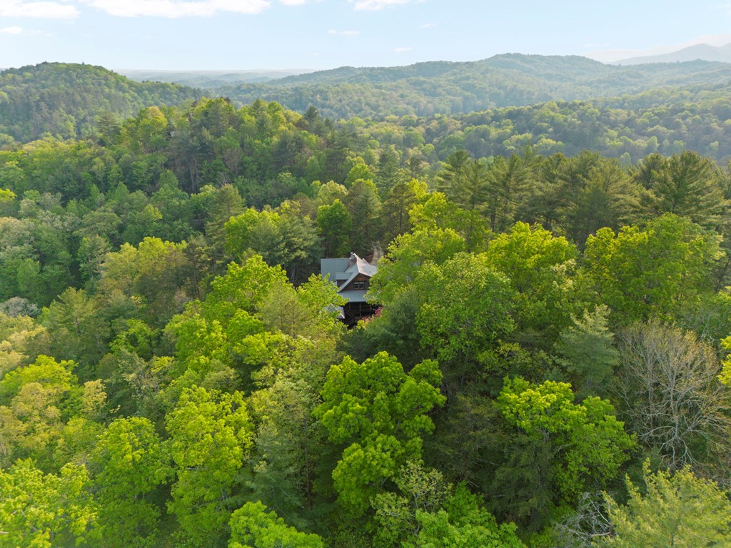 268 Cherry Log Summit Drive Cherry Log, GA 30522 - Photo 70 of 70