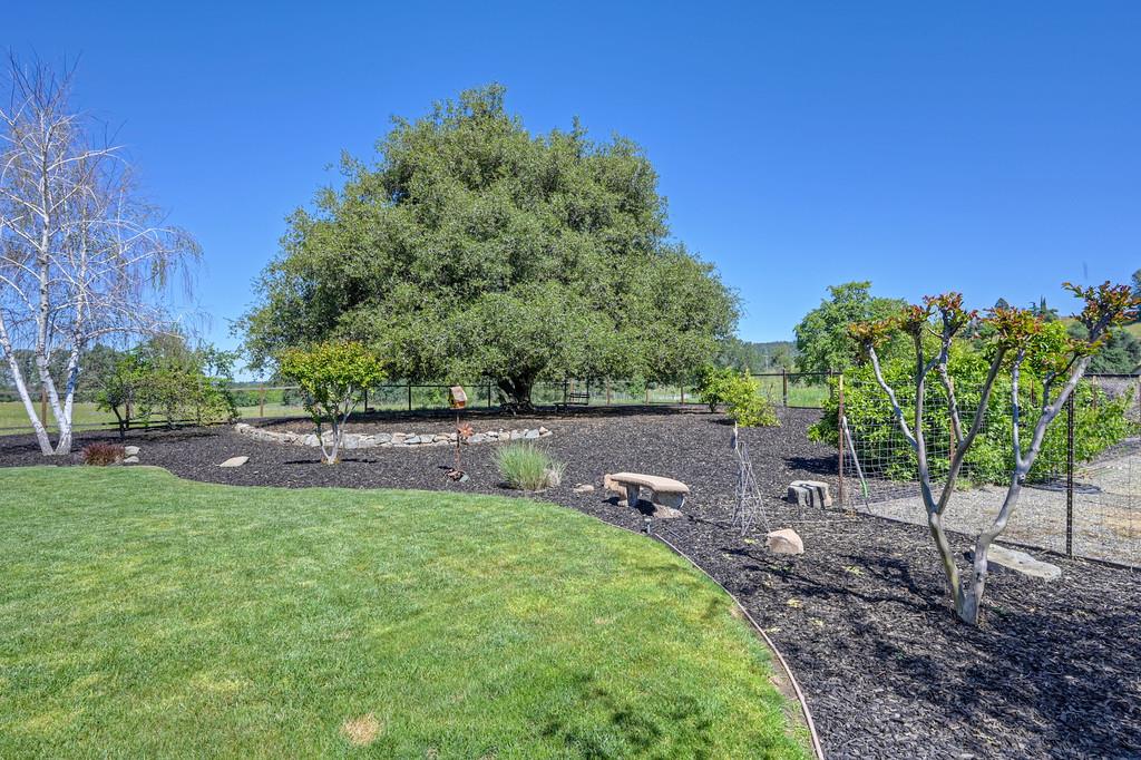 7505 Wise Road Auburn, CA 95603 - Photo 34 of 56