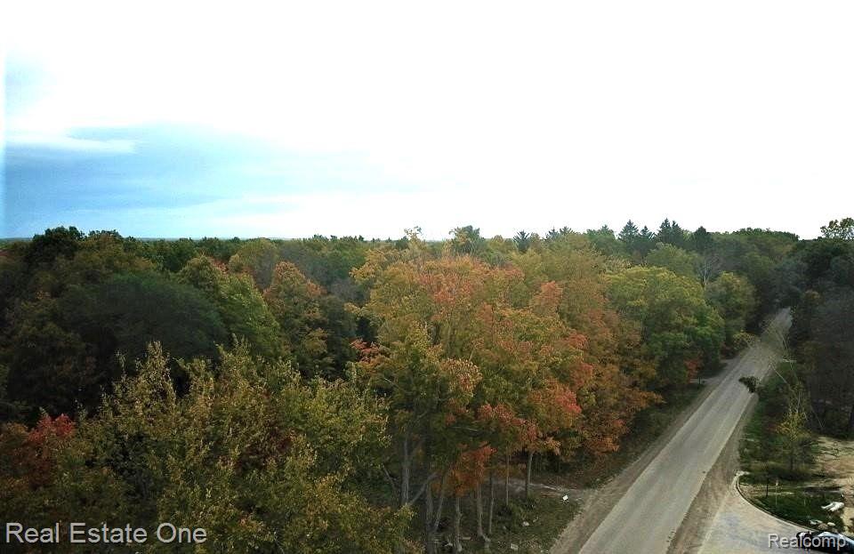 Parcel B McClements Road Brighton, MI 48114 - Photo 6 of 8
