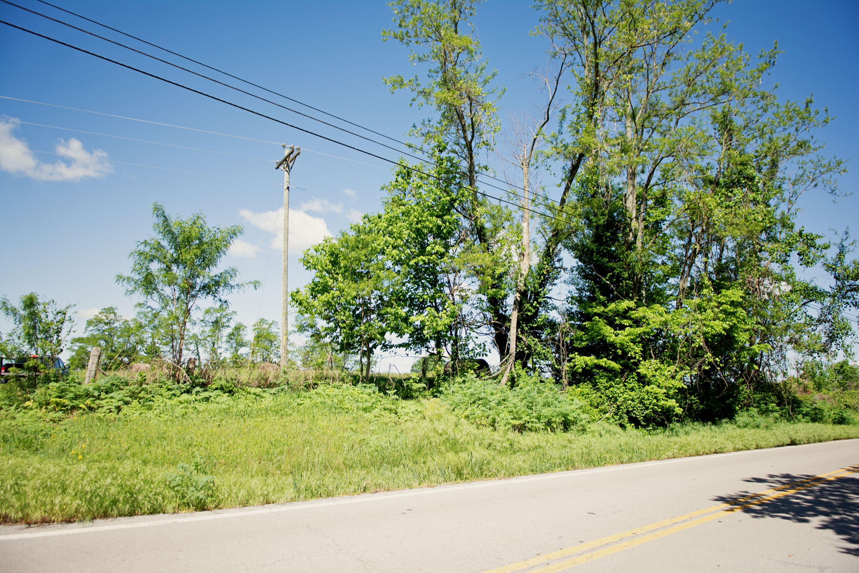 9733 Buckeye Road Lancaster, KY 40444 - Photo 10 of 31 DSC_1969 copy