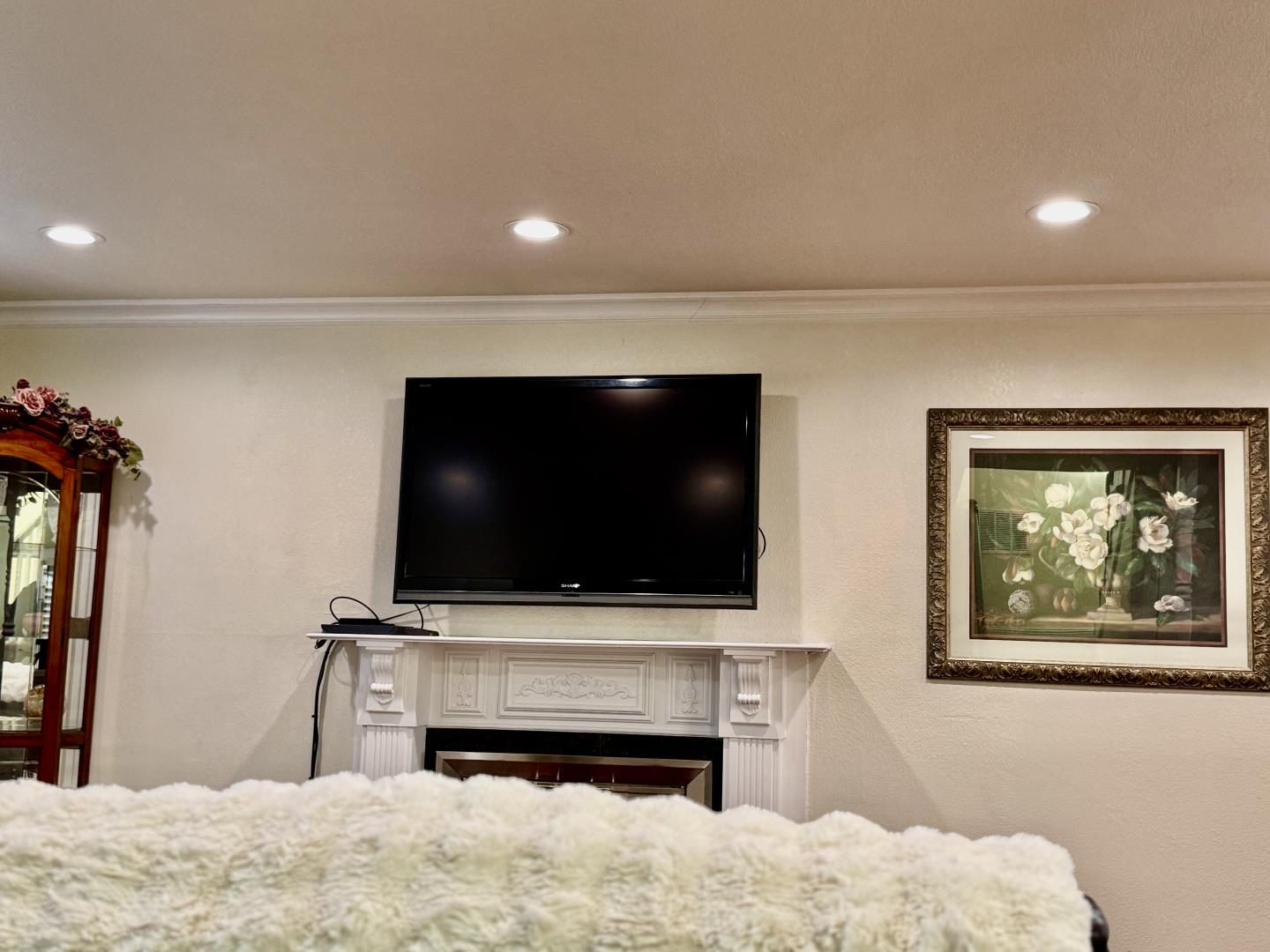 5736 Silver Leaf Road San Jose, CA 95138 - Photo 7 of 42 a living room with a flat screen tv and a fireplace