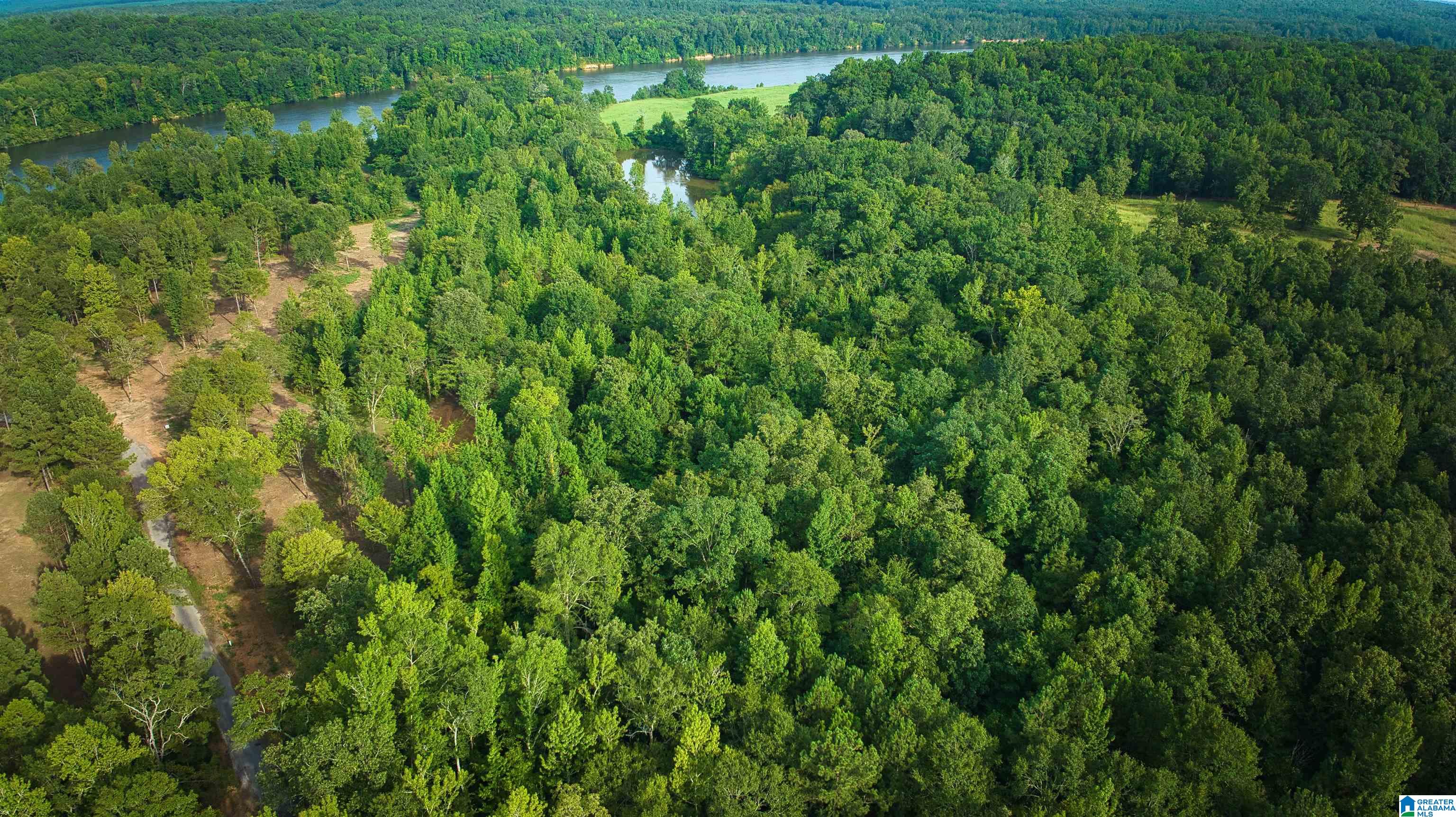 Lot 20 Wester Road, Unit LOT 20 Ragland, AL 35131 - Photo 62 of 68
