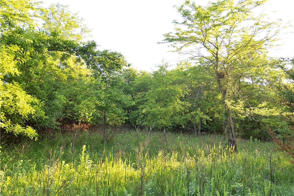Murray Rd Road Polo, MO 64671 - Photo 29 of 53